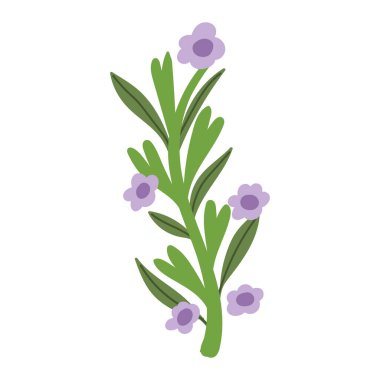 Zambak çiçekleri şube simgesi izole edilmiş beyaz arkaplan