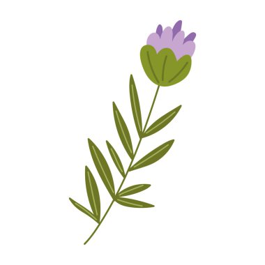 Menekşe çiçek simgesi izole edilmiş beyaz arkaplan