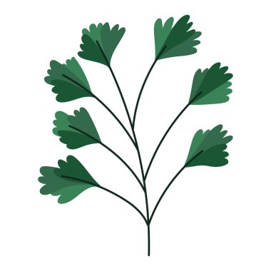 Yaprak doğası simgesi izole edilmiş beyaz arkaplan