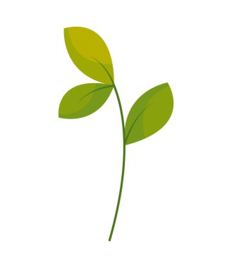 Yaprak ikonu izole edilmiş tasarım bırakır