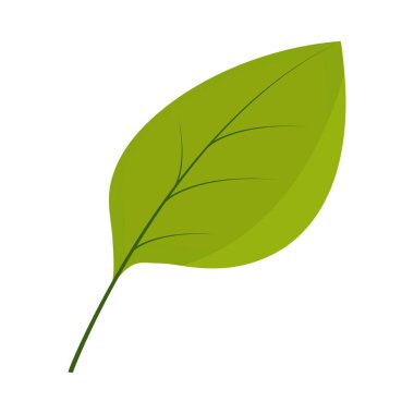 Yaprak yassı simgesi beyaz arkaplan