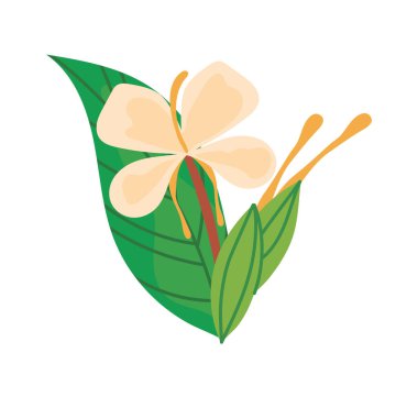 çiçek ve yaprak simgesi izole