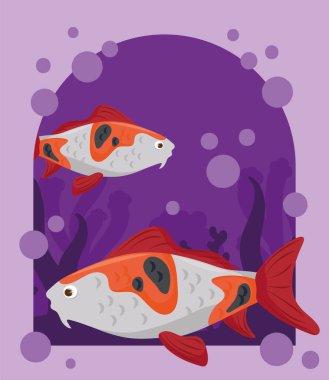 carp fishes coral sea vector design