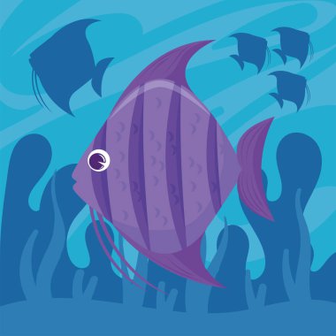 purple fish coral reef scene