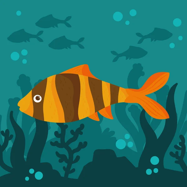 Clownfish Undersea Scene Vector Design — Stock Vector