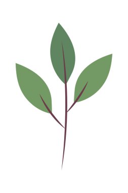 Doğa simgesi beyaz arkaplan bırakır