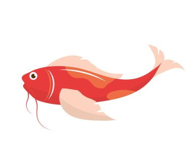 koi fish icon isolated design