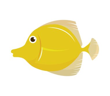 yellow fish icon isolated design