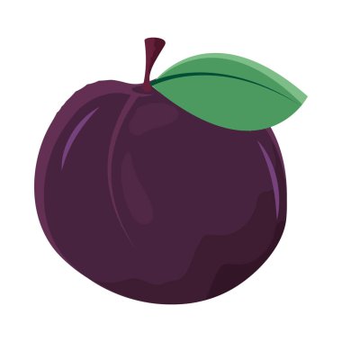 blueberry fruit icon isolated style
