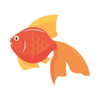 goldfish cartoon icon isolated design