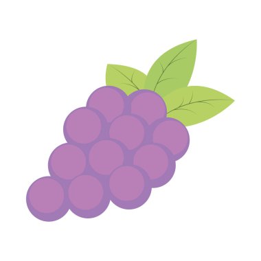 grapes fruit icon isolated white background