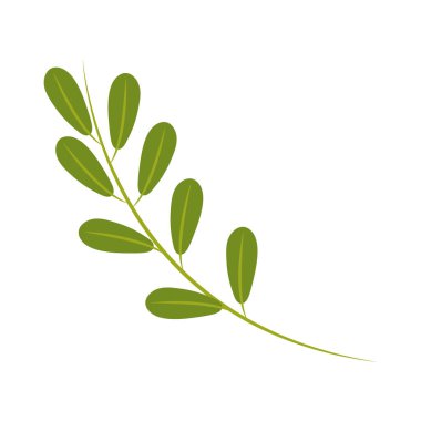 branch leaves icon isolated design