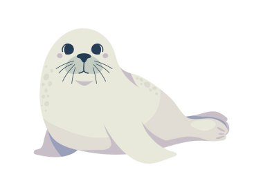 seal arctic animal icon isolated