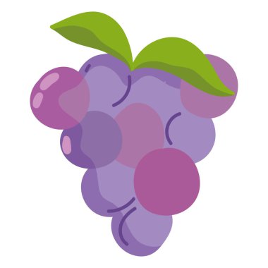 Üzüm meyveleri izole edilmiş simge tasarımı