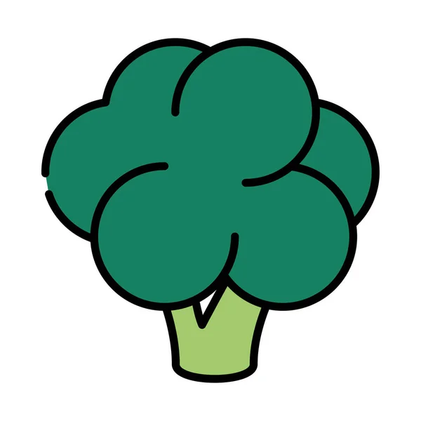 Broccoli Vegetable Food Icon Isolated — Stock Vector