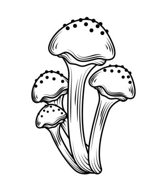 Mantarlar vahşi ikon izole tasarımı