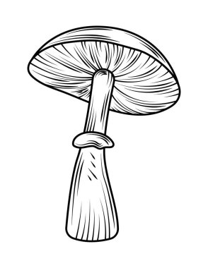 mantar yassı simgesi izole tasarımı