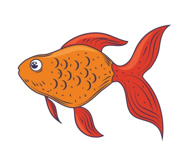 Japon balığı hayvan izole edilmiş simge tasarımı