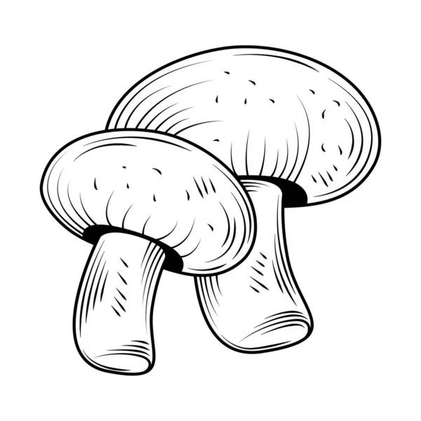 Funghi Icona Sfondo Bianco — Vettoriale Stock