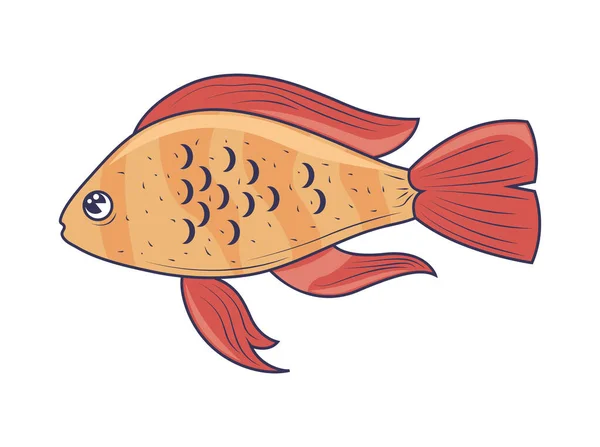 Fisch Tier Isoliert Symbol Design — Stockvektor