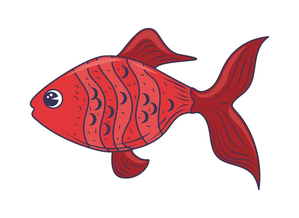 Icona Isolata Animale Rosso Pesce Rosso — Vettoriale Stock