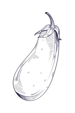 Patlıcan el çizimi yiyecek simgesi izole