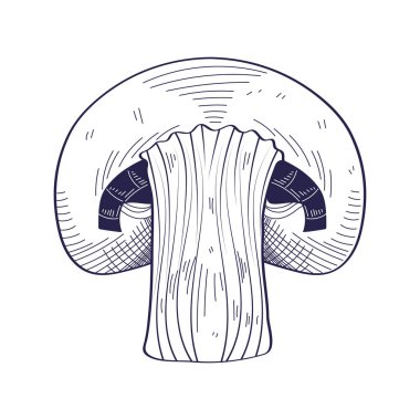 mantar sebze ikonu izole