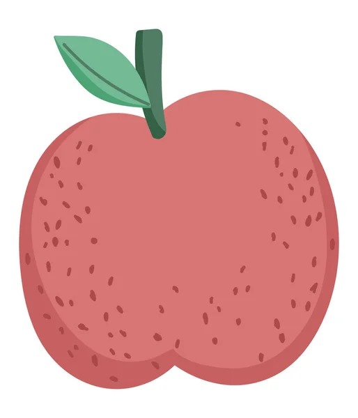 Apple Ovoce Samostatný Ikony Designu — Stockový vektor