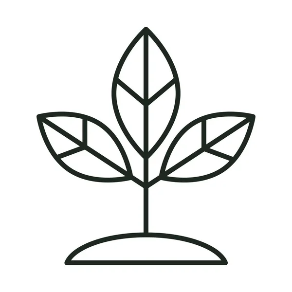 Растение Изолированной Линии Почвы — стоковый вектор