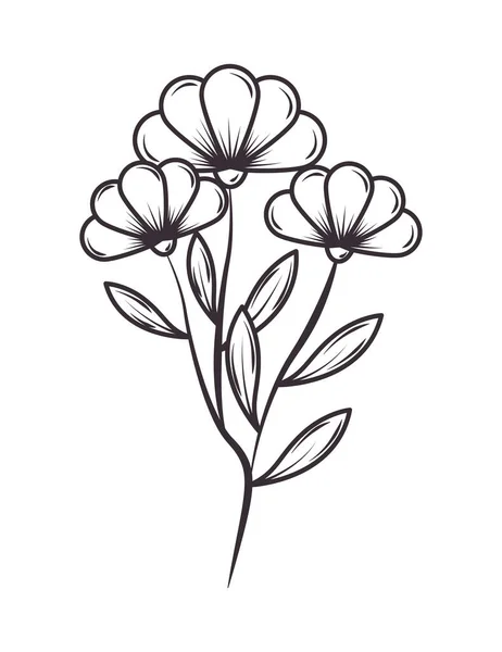 Fleurs Feuilles Nature Icône Botanique Isolé — Image vectorielle