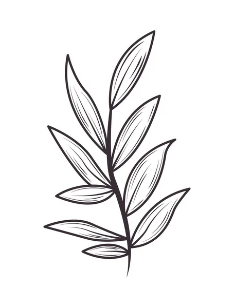 Branche Nature Icône Botanique Isolé — Image vectorielle