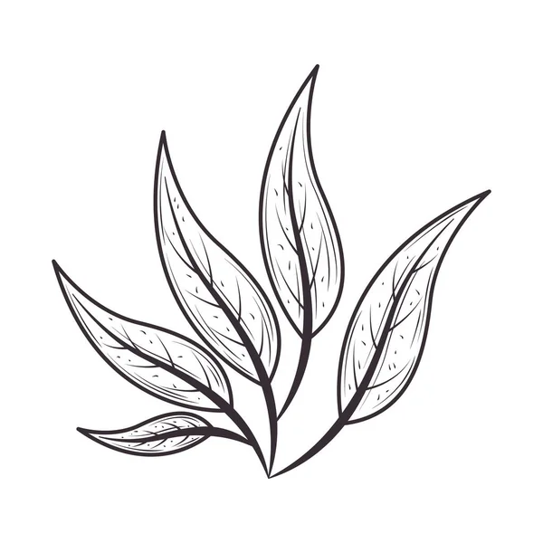 Leaves Foliage Nature Botanical Icon Isolated — Stock Vector