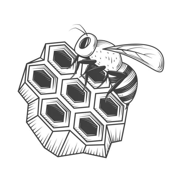 蜂の巣アイコンを隔離したデザイン — ストックベクタ