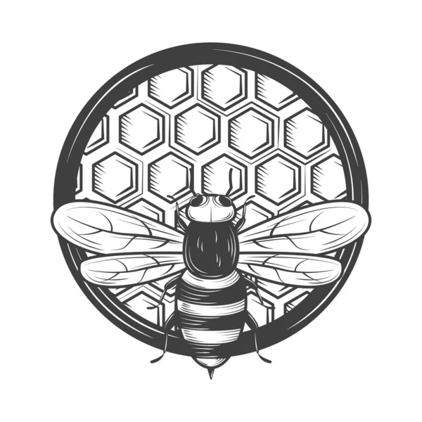 Ikona Uli Pszczół Miodu Izolowana — Wektor stockowy