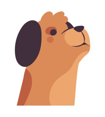 dog pet animal icon isolated
