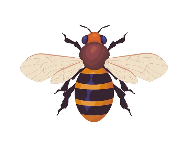 Ikon Lebah Mengisolasi Latar Belakang Putih - Stok Vektor