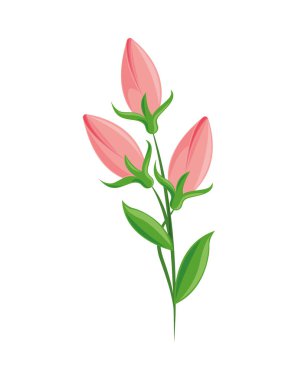 Çiçek yayı izole edilmiş simge