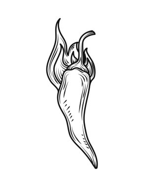 Alev simgesinde kırmızı biber izole tasarım