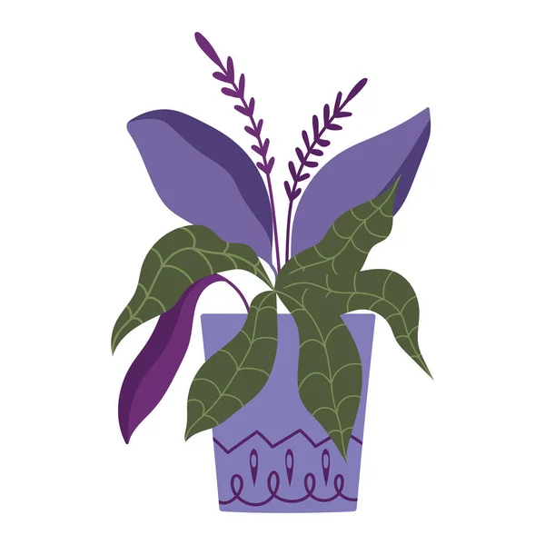 Изолированная Икона Садоводческого Растения — стоковый вектор