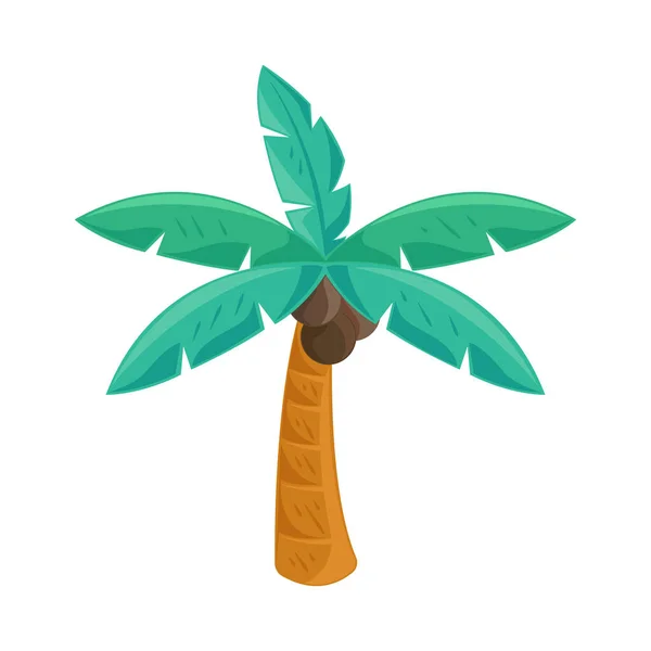 Ícone Coco Palmeira Tropical Isolado — Vetor de Stock