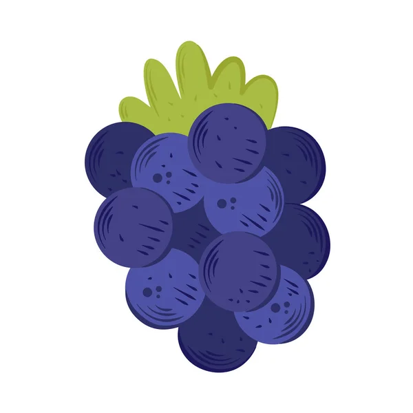 Raisins Mûrs Icône Fruits Isolés — Image vectorielle