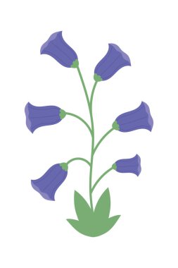 nature Vector illustration of flowers icon isolated clipart