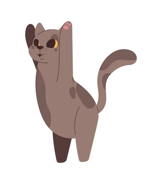 아이콘 고립된 귀여운 고양이 — 스톡 벡터