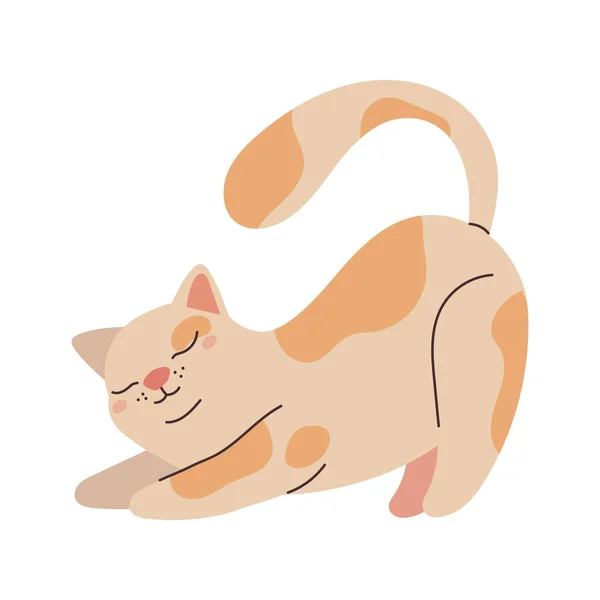 Fluffy Sleeping Kitten Cute Icon Isolated — Stock Vector