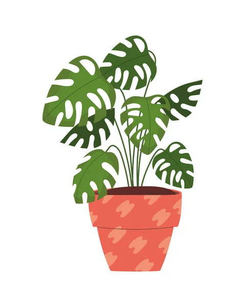 Grüne Blätter Tropische Zimmerpflanze Symbol Isoliert — Stockvektor
