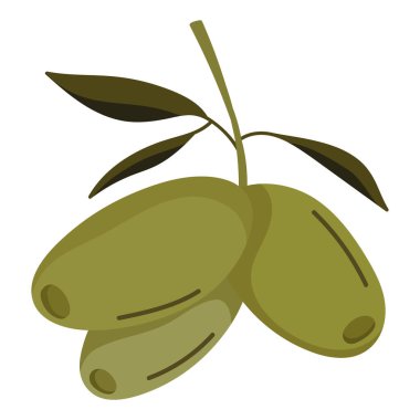 Zeytin dalı Sağlıklı doğa simgesi izole