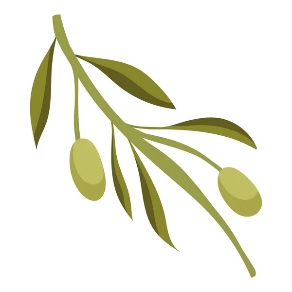Färsk Grön Oliv Ekologisk Ikon Isolerad — Stock vektor