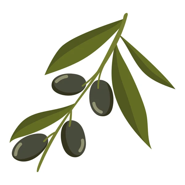 Rama Árbol Con Olives Icono Aislado — Vector de stock