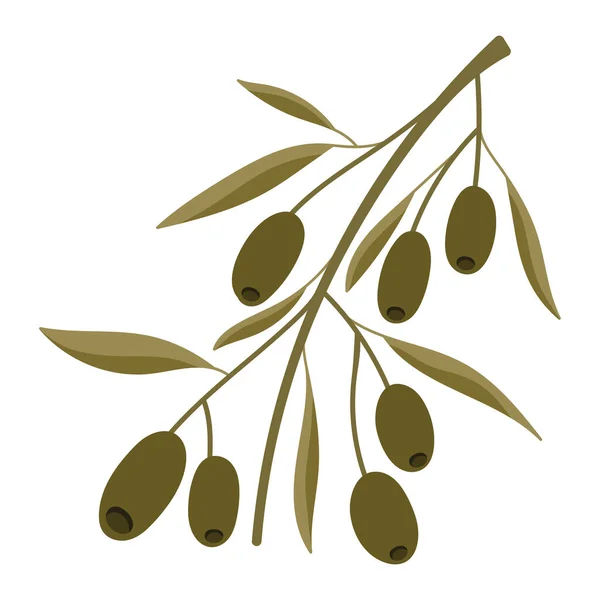 Olivenbaum Ikone Isoliert — Stockvektor