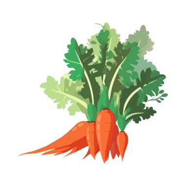 Sağlıklı beslenme taze organik havuç ikonu izole